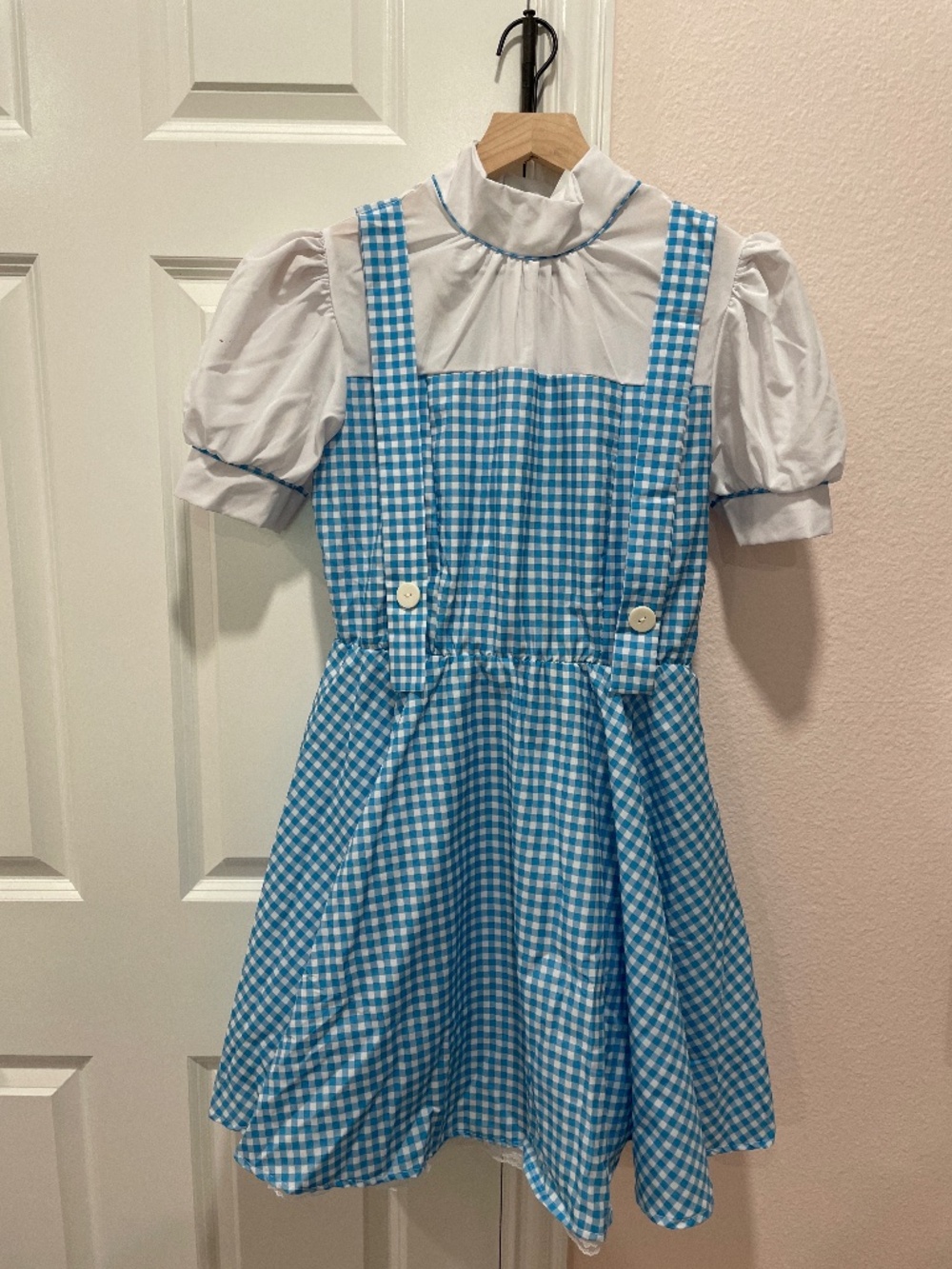 Adult XS Wizard of Oz Dorothy costume with Toto and basket
